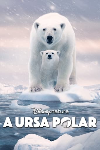 Ursa Polar