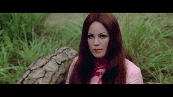 Fury In Storm (1974)