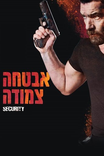 אבטחה צמודה