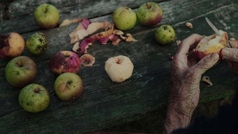 Then Comes the Evening (2019)