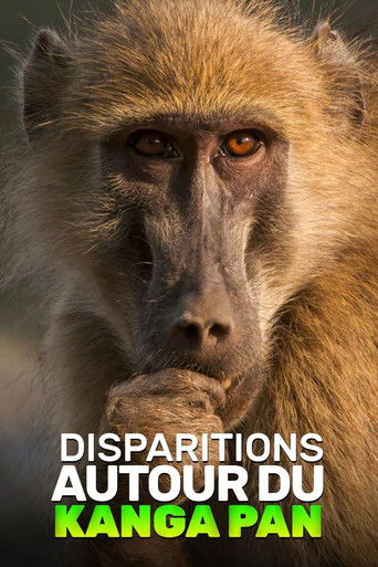 Disparitions autour du Kanga Pan (2019)