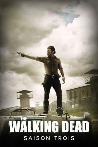 The Walking Dead - S3 - Épisode 3 : Marchez avec moi - Affiche