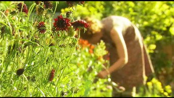 The Edible Garden (2010)