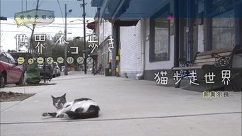 Episode 27