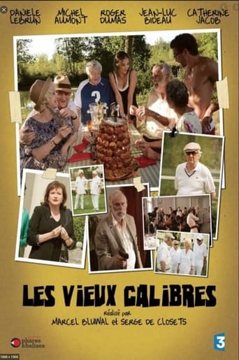 Poster för Les Vieux Calibres