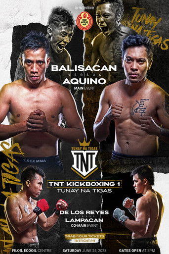 TNT Kickboxing 1 poster