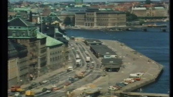 Swedish Confessions (1977)