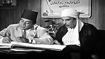 #14 Son of Hamido