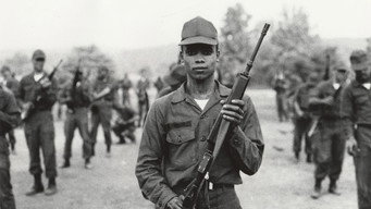 Basic Training (1971)