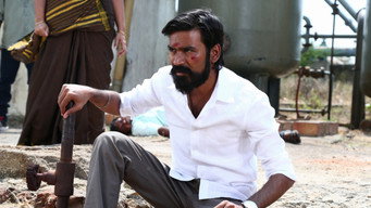 #13 Kodi