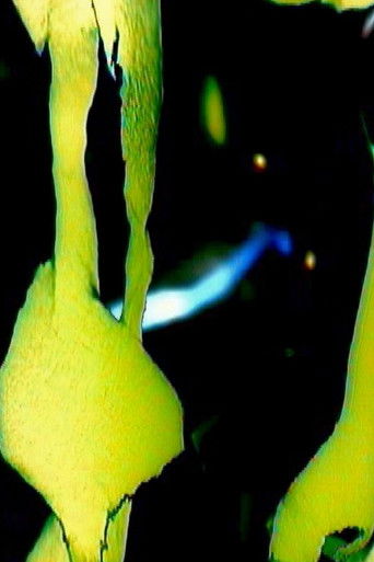 Reflecting Pool poster