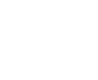 Diners, Drive-Ins and Dives