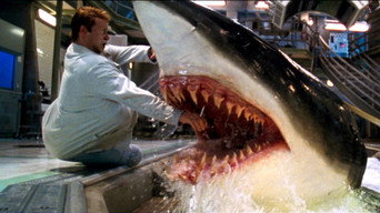 Galeria 3 - Deep Blue Sea
