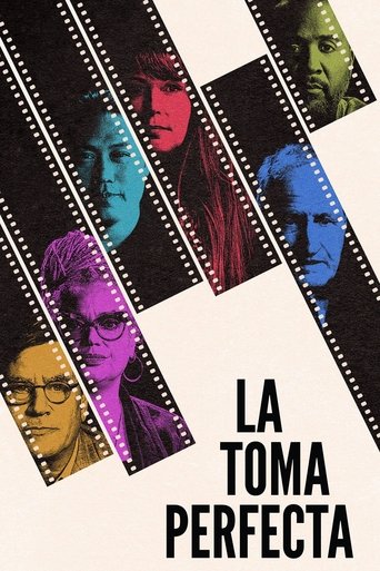 Poster of La toma perfecta