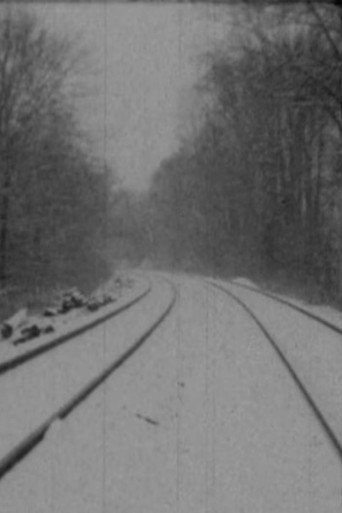 A Bridge Beckons (2021)