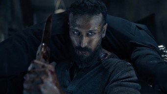 #6 Baaghi 4