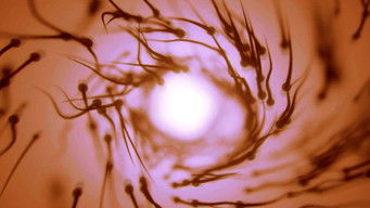 第6話：La paternit&agrave;