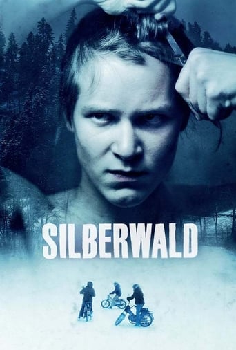 Poster of Silberwald