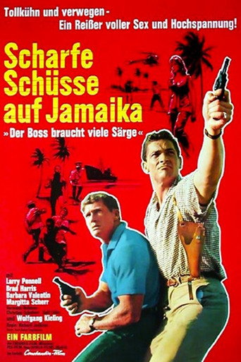Scharfe Schüsse auf Jamaika