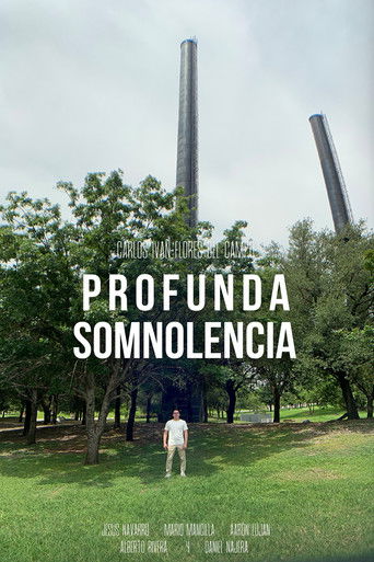 Profunda Somnolencia poster