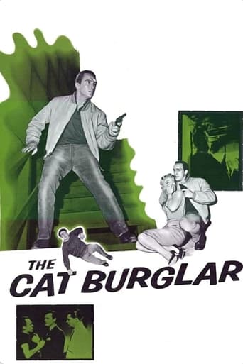 Poster för The Cat Burglar