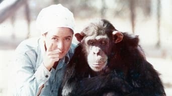 #2 Lucy, the Human Chimp
