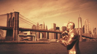 Saban Bajramovic - My Journey (2024)