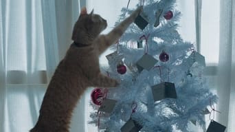 #7 Різдво кота Боба