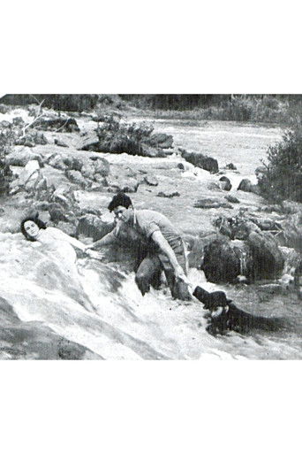 Cartell de Alma Gentil