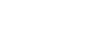 Married at First Sight logo