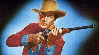 #4 Springfield Rifle