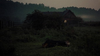 #61 Дзеркало