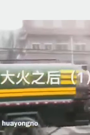 大火之后 poster