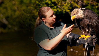 Alaska Animal Rescue (2020- )