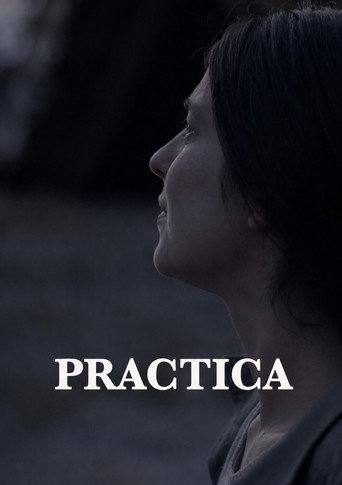Practica poster