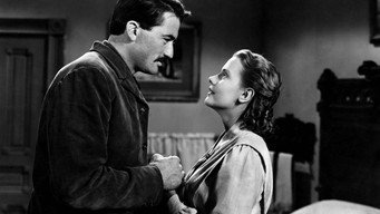 #24 The Gunfighter