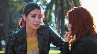 Cena de Cores Que Iluminam Nossos Corações