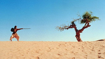 Воїн (2001)