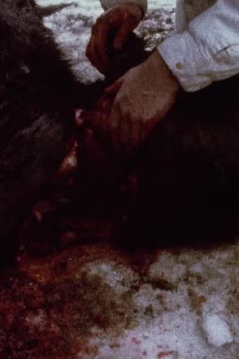 Straits of Magellan: Pans 0–4 and 697–700 (1974)