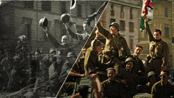 #5 Друга світова війна: На лініях фронту