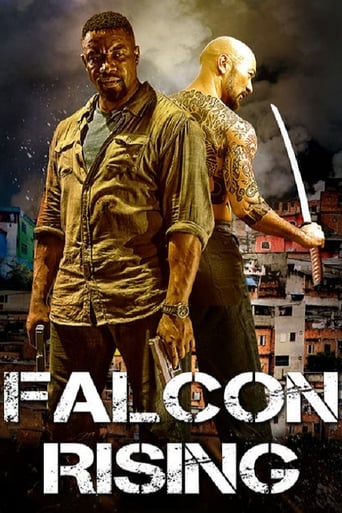 Poster of Falcon Rising