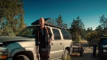 Galeria 2 - Supervivencia