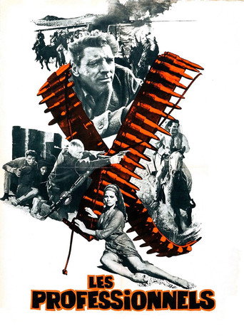 Les Professionnels - affiche officiel
