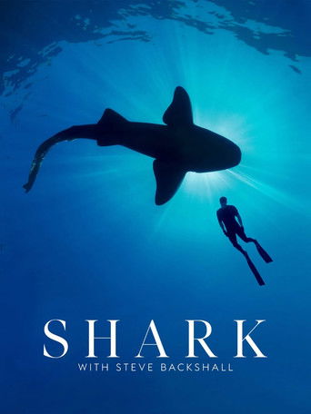 Shark with Steve Backshall poster 5