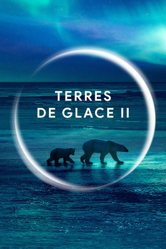 Planeta Gelado II — Pôsteres 14