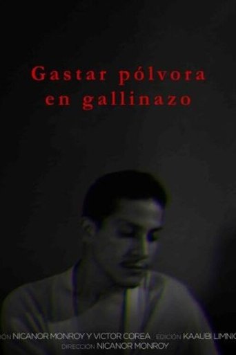 Gastar pólvora en gallinazos poster