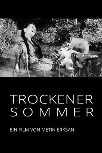 Trockener Sommer