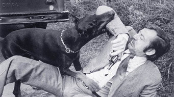The Daring Dobermans (1973)
