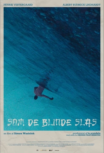 Poster of Som de blinde slås