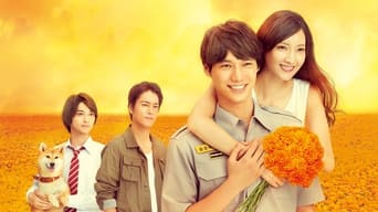 Marigold in 4 Minutes - S1E01